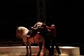 IMG_8118