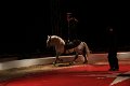 IMG_8120