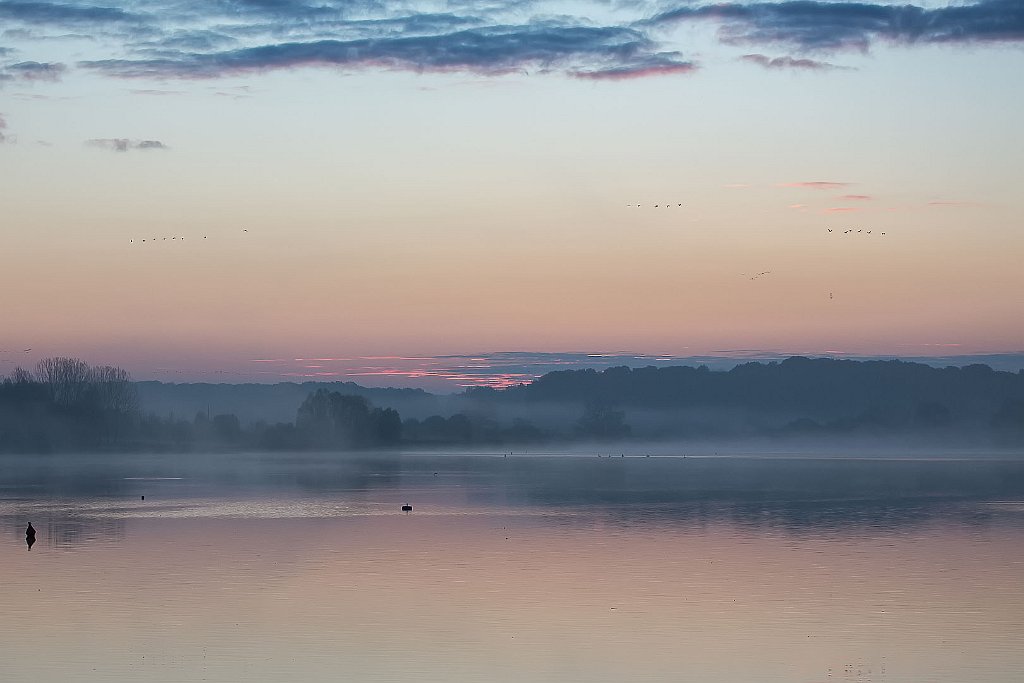 NM6A6272.jpg