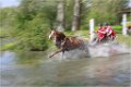 _MG_3633