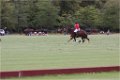 IMG_1902