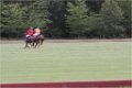 IMG_1908