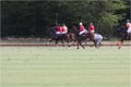 IMG_1954