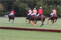 IMG_1985