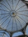 IMG_6191
