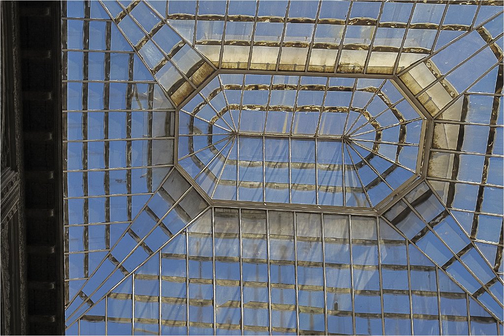 IMG_7644.jpg